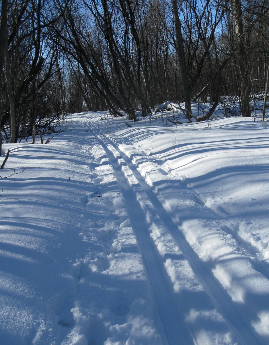 gallery_2324_50_769783.jpg