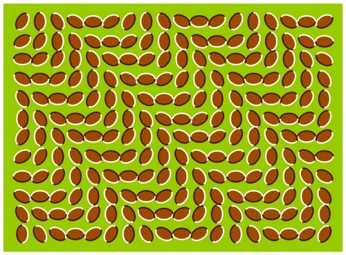 donwave-web.jpg