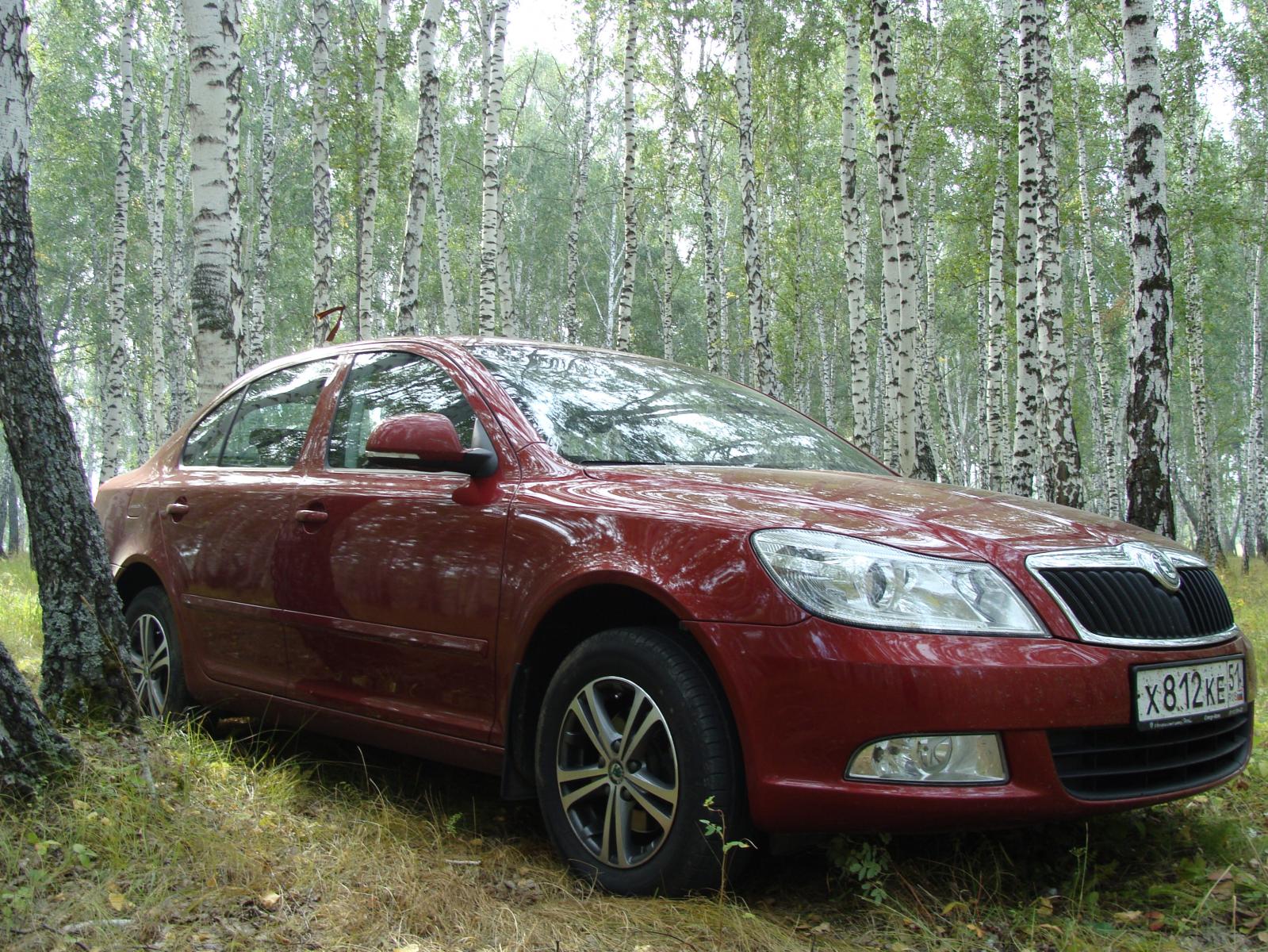 Под Омском, сентябрь 2010