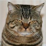 Фотография Гайка