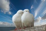 Фотография loveistoria