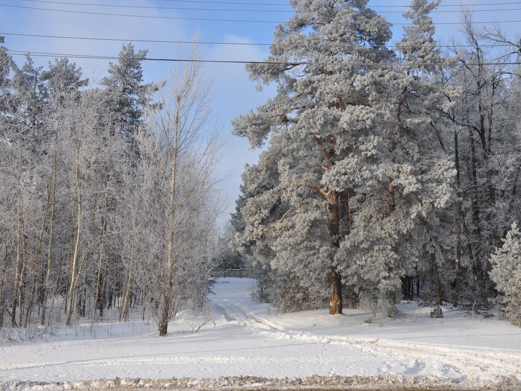 Зима город