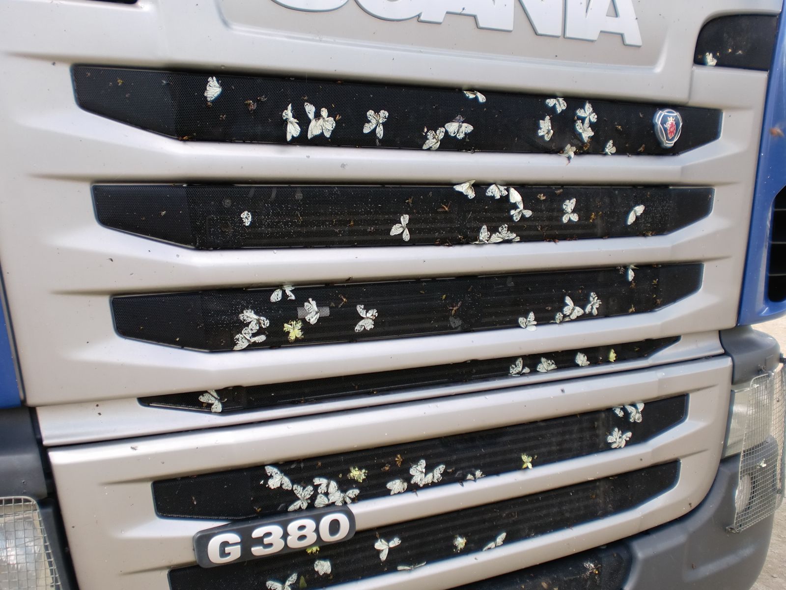 CIMG6502