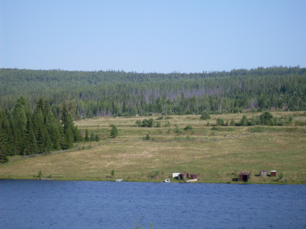 SDC10294