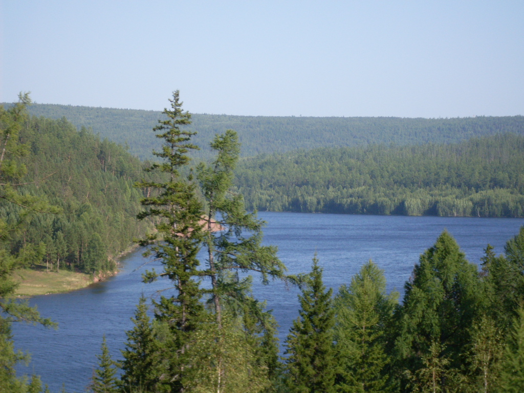 SDC10317
