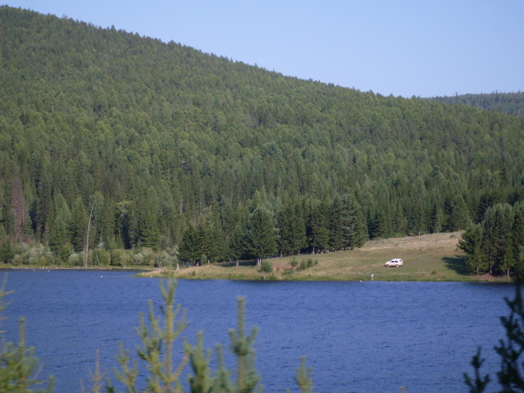 SDC10293