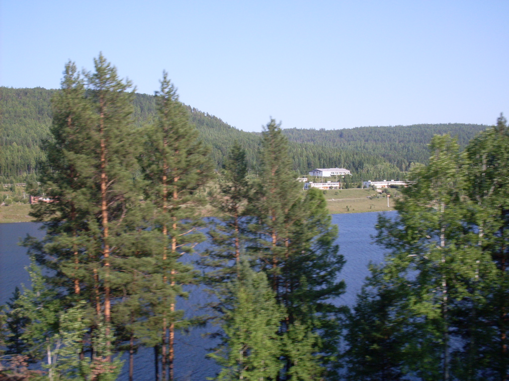 SDC10302