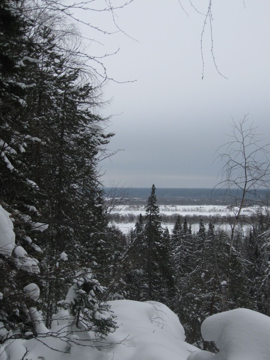 IMG 3639