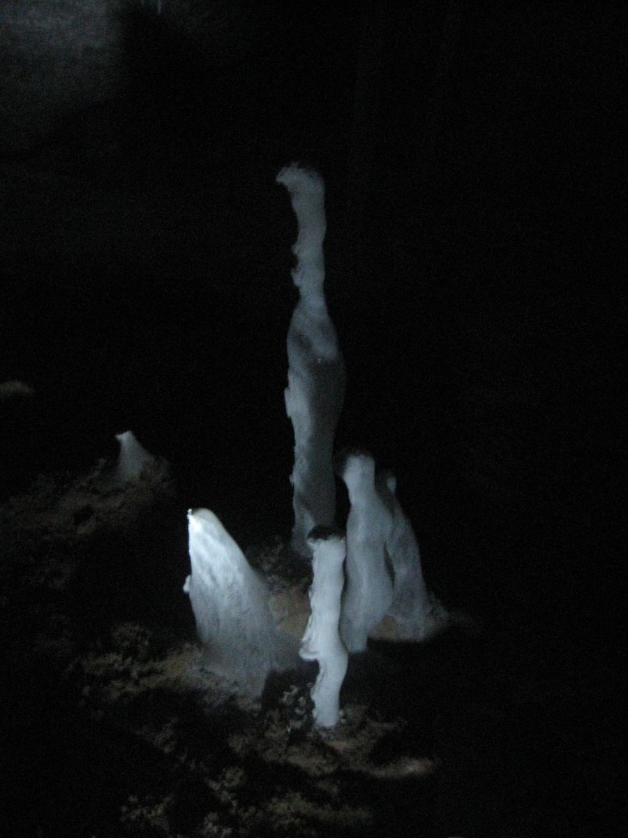 IMG 3782