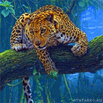 zhivotnye animaciya leopard 27802