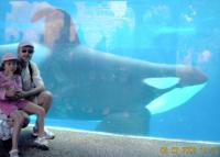 SeaWorld.jpg