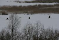 IMG_7550.JPG