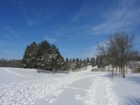 Erindale 2.jpg