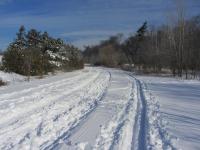 Erindale 1.jpg
