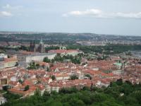 IMG_6226-2.jpg