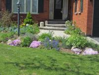 May flowers 8.jpg