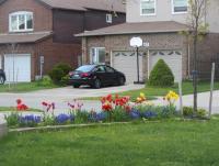 May flowers 3.jpg