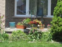May flowers 2.jpg