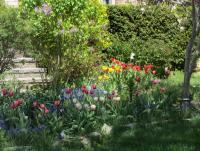 May flowers 1.jpg