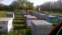 WP_20170501_07_08_55_Pro.jpg