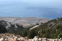 IMG_1458_resize_resize.JPG
