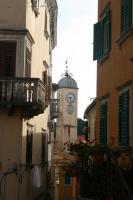 IMG_3695_resize_resize.JPG