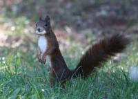 IMG_3558_resize.jpg