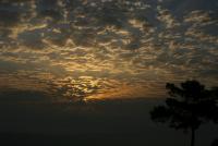 IMG_3446_resize.JPG