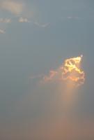 IMG_4642.jpg