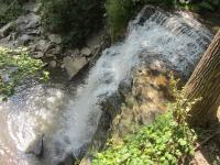 IMG_5846.JPG