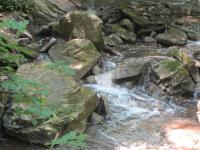 IMG_5862.JPG