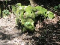 IMG_5824.JPG
