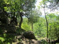IMG_5795.JPG