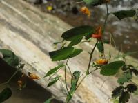 IMG_5890.JPG