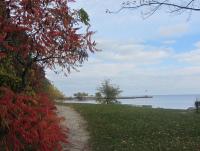 Park with lighthouse.jpg