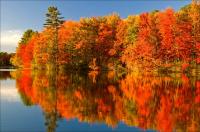 Fall4.jpg
