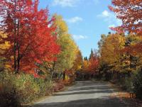 HAY ISLAND NATURE PARK__OCT 14, 2015_ALDO DORIO.jpg
