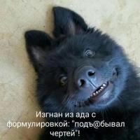image (11).jpeg