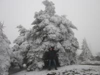 Железноводск-2014-5.jpg