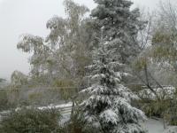 Железноводск-2014-1.jpg