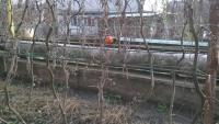 WP_20161105_14_01_10_Pro.jpg