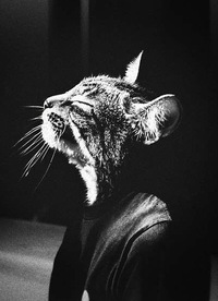 Фотография riabt