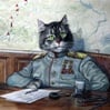 Фотография CatGeneral